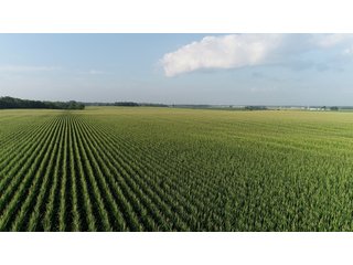 Union County, Indiana Farmland - REAL ESTATE AUCTION - 805+/- ACRES IN 11 TRACTS IN UNION COUNTY, INDIANA